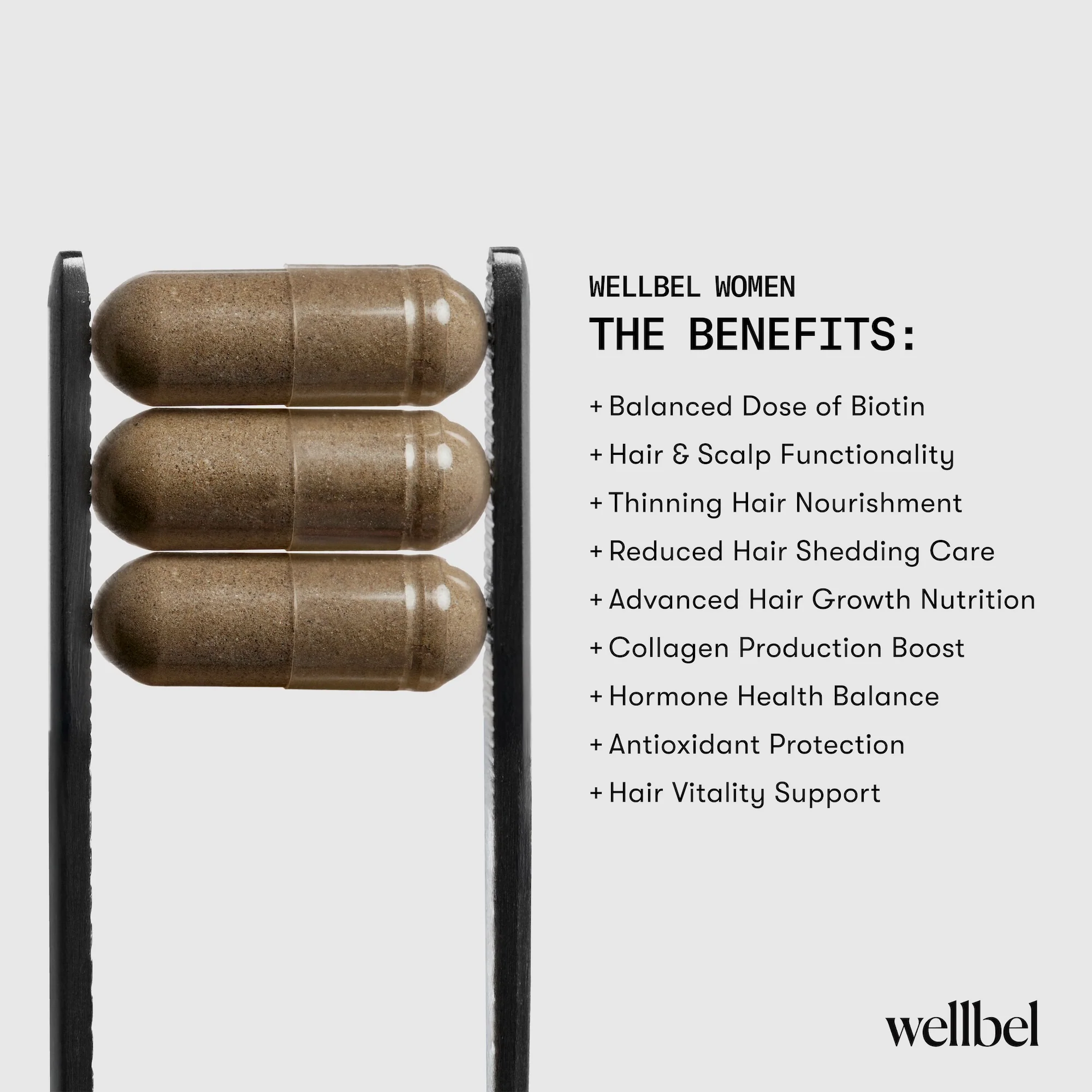 Wellbel Women - Image 11